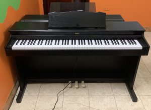 Korg C2200