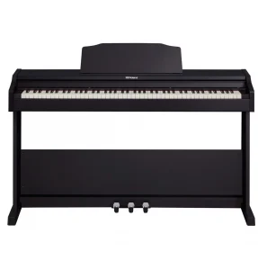 Roland RP 102