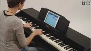Roland RP 102