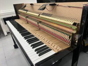 Yamaha DUP 10PE