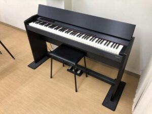 Roland F120B