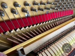 Gors and Kallmann GK5000