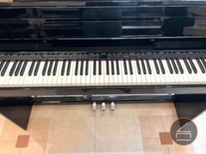 Roland DP 990PE