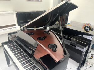 AvantGrand Yamaha N3