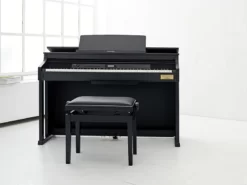 Casio AP 710