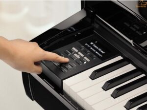 Kawai DG30