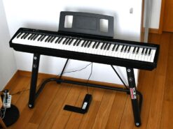 Roland FP 10