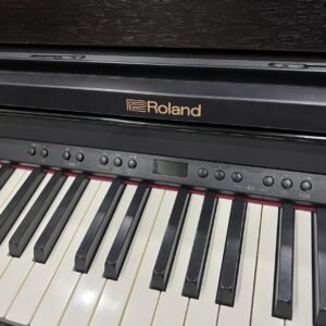 Roland RP 501