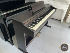 Roland RP 501