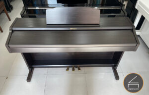 Roland RP 501