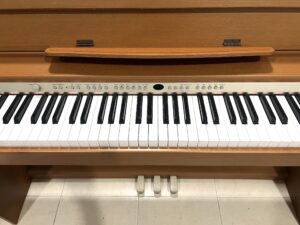 Roland DP 970