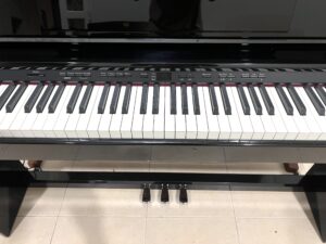 Roland DP 990RF PE