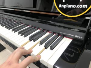 Roland DP 990RF PE