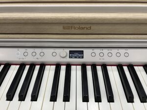 Roland RP 701-Lo