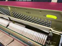 Yamaha YM5