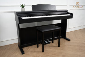 Apollo DP66