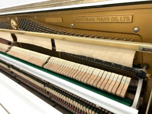 Fukuyama & Sons Alexander