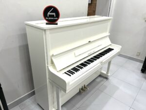 Fukuyama & Sons Alexander