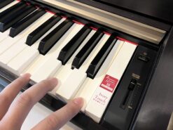 Kawai CN 37