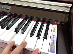Casio AP 500
