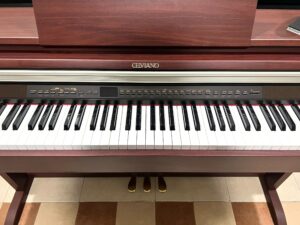 Casio AP 500