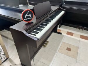 Roland RP 101