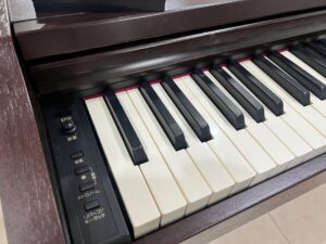 Roland RP 101