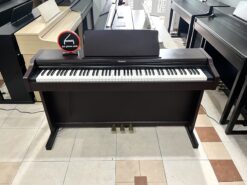 Roland RP 101