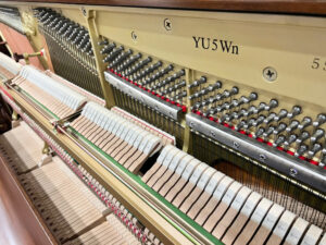 Yamaha YU5Wn